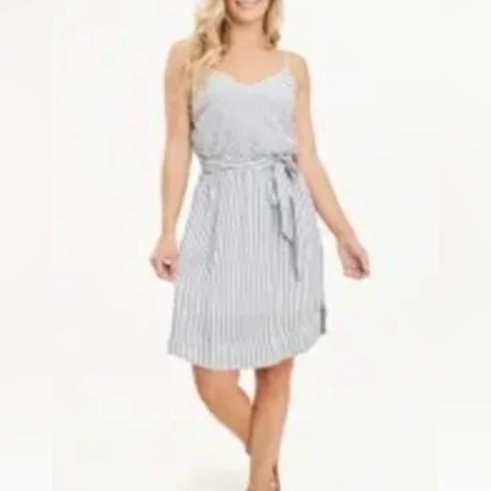Splendid Blue and White Striped Dress